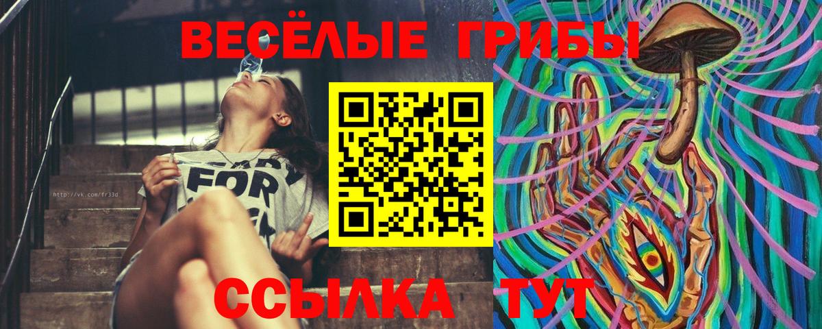 Псилоцибиновые грибы Psilocybe  Вход с VPN  Ногинск  наркотики  Псилоцибиновые грибы GOLDEN TEACHER 